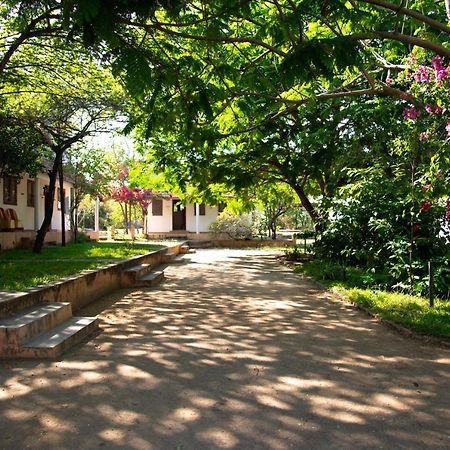 The Mountain Retreat Hotel ติรุวันนามาลัย ภายนอก รูปภาพ