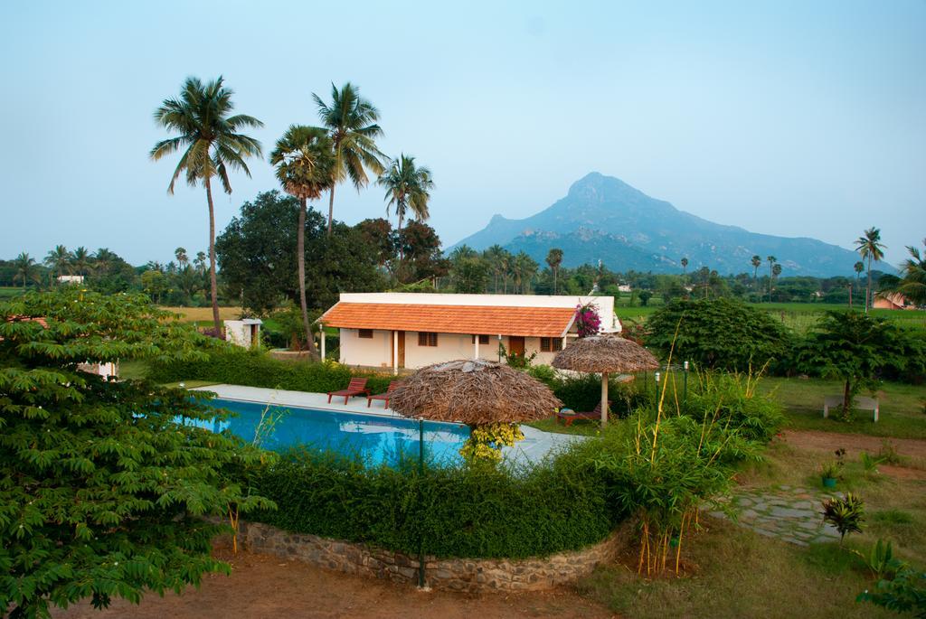 The Mountain Retreat Hotel ติรุวันนามาลัย ภายนอก รูปภาพ