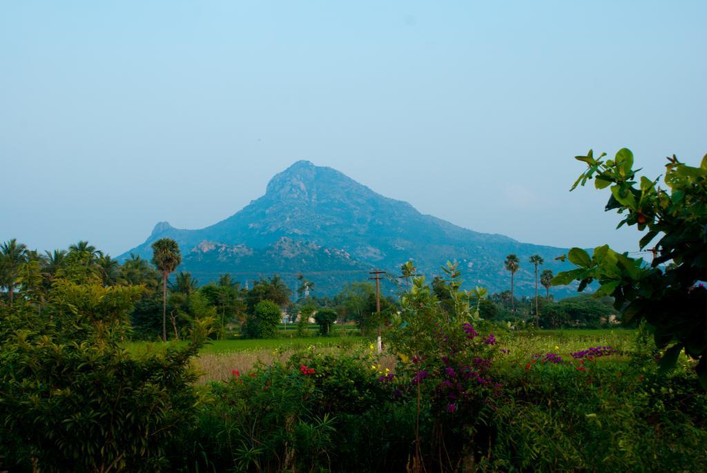 The Mountain Retreat Hotel ติรุวันนามาลัย ภายนอก รูปภาพ