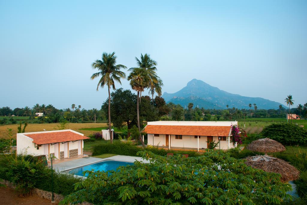 The Mountain Retreat Hotel ติรุวันนามาลัย ภายนอก รูปภาพ