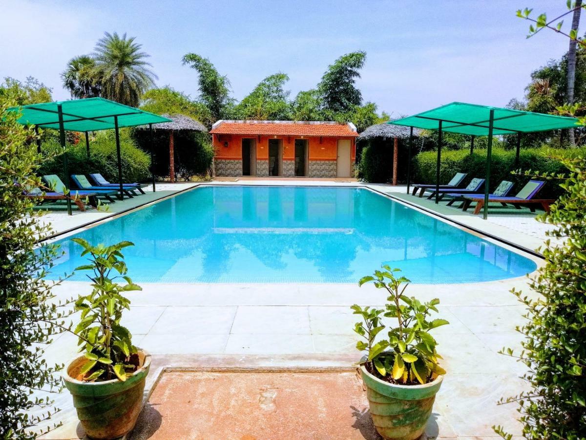 The Mountain Retreat Hotel ติรุวันนามาลัย ภายนอก รูปภาพ